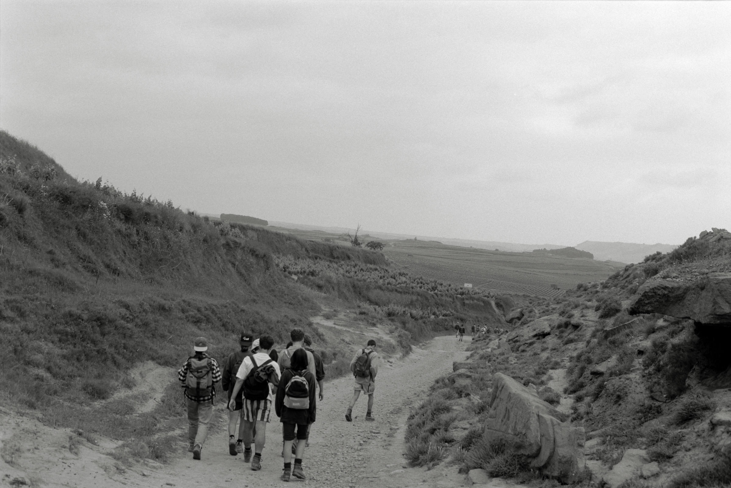 AHP F1995 05 008 sc240826 img16 NLP